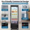 ORIKOOL Glass Door Merchandiser Freezer 19.2 Cu.ft Swing Door Commercial Reach-In Display Freezers Upright Freeze Storage